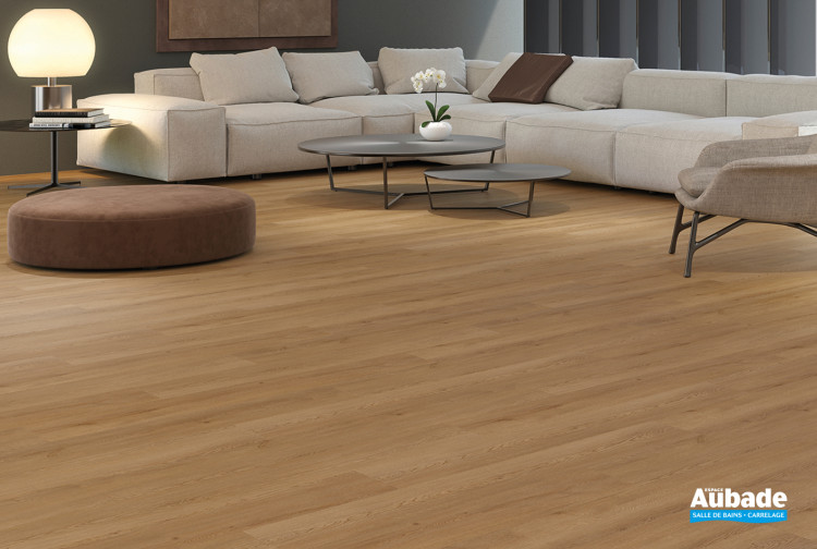 Sol souple Global de Zenon