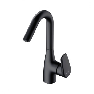 Mitigeur lavabo haut Derby Style Black Line de Vigour