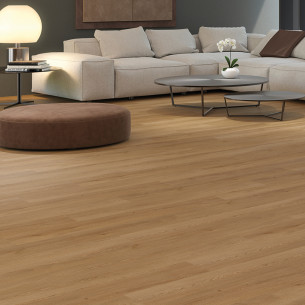 Sol souple Global de Zenon