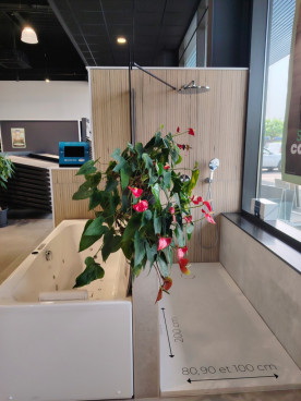 Baignoire et receveur de douche