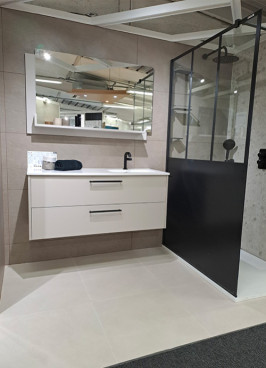 Meuble de salle de bain 2 tiroirs avec douche