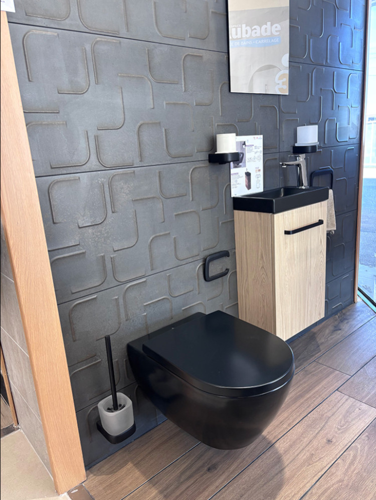 WC suspendu avec lave mains